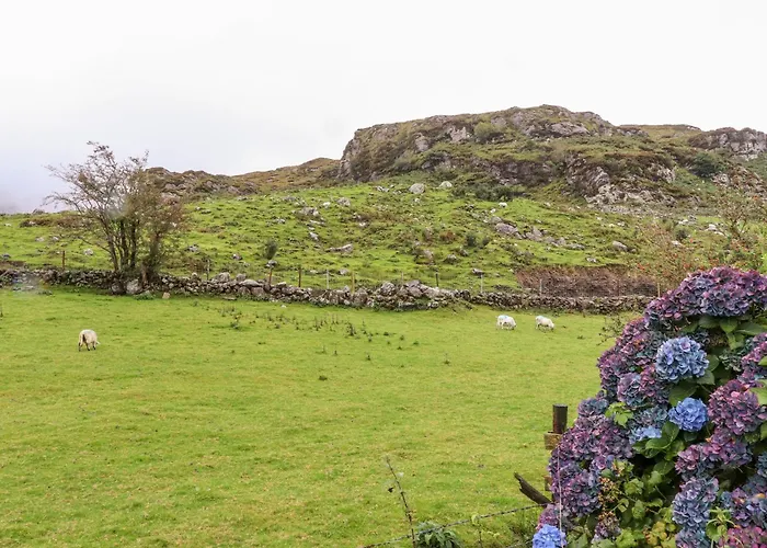 Casa vacanze Lyreboy Gortrelig